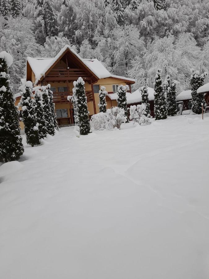 Pensiunea La Padure Cheia, Prahova Otel Măneciu Dış mekan fotoğraf