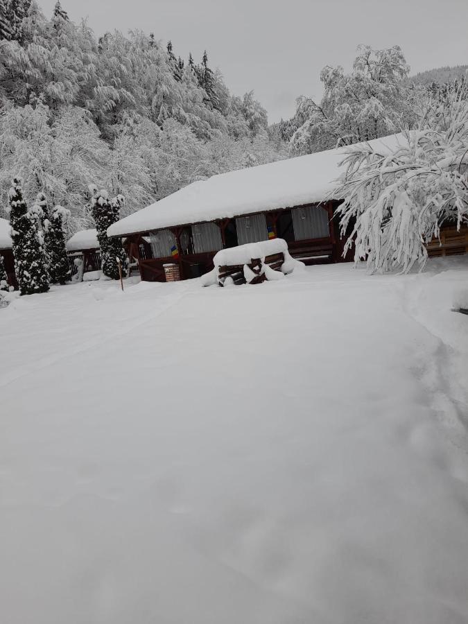Pensiunea La Padure Cheia, Prahova Otel Măneciu Dış mekan fotoğraf