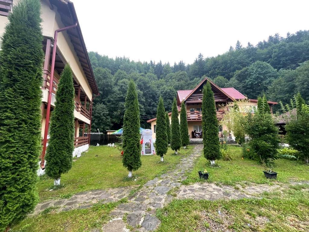 Pensiunea La Padure Cheia, Prahova Otel Măneciu Dış mekan fotoğraf