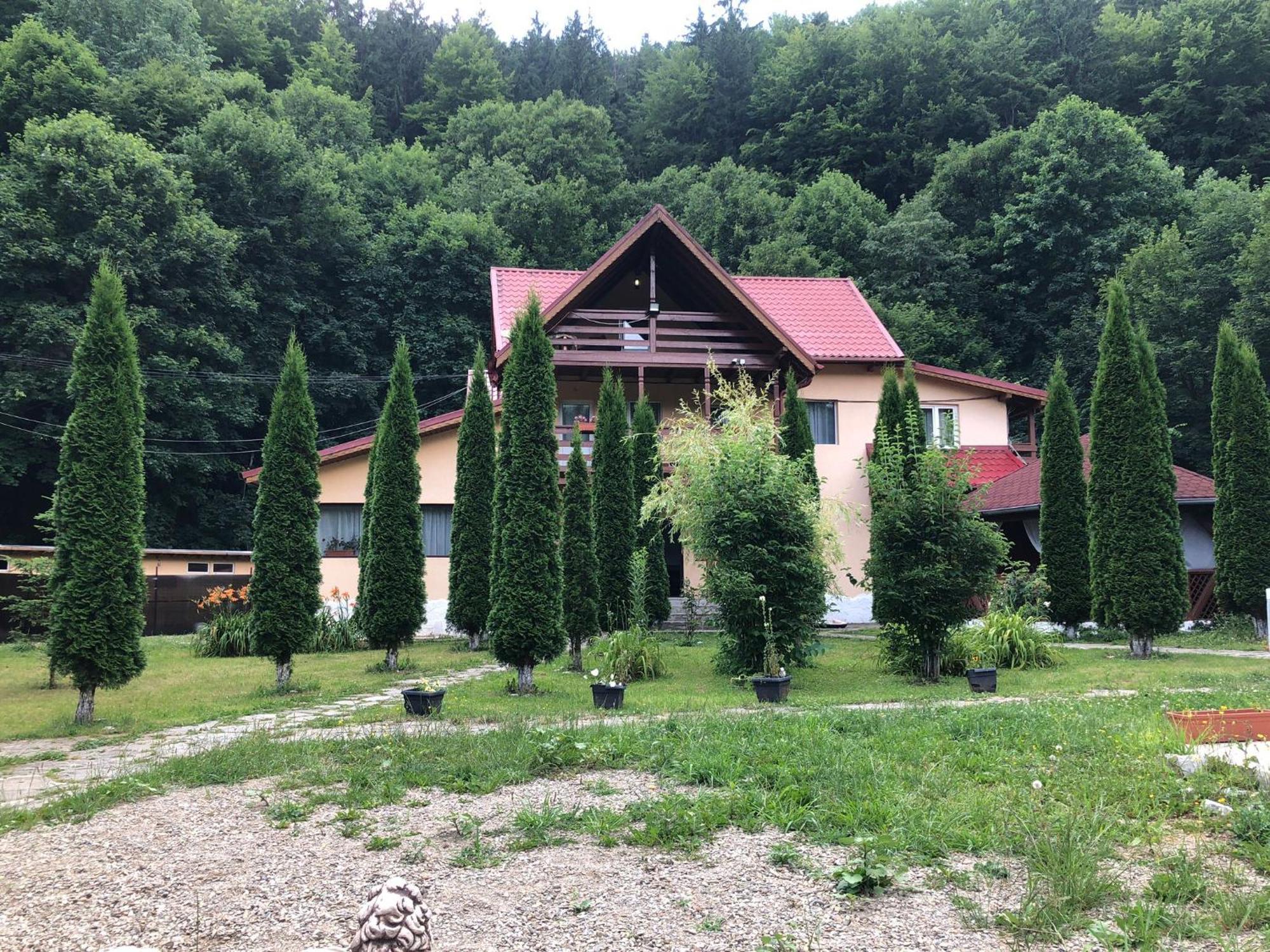 Pensiunea La Padure Cheia, Prahova Otel Măneciu Dış mekan fotoğraf